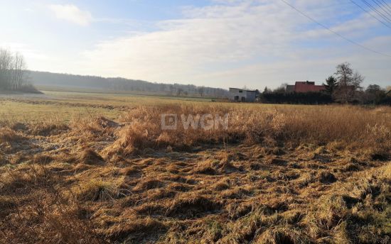 Grunt inwestycyjny na sprzedaż Zbylutów